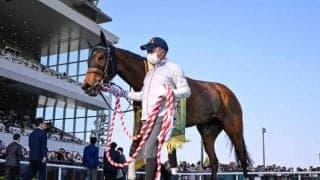 【愛知杯】売上は45億1994万2600円 今年から芝1400mのグレード別定戦に