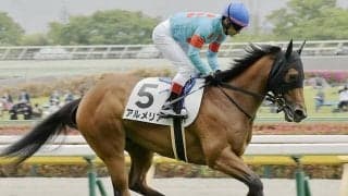 【先週のJRA抹消馬】関屋記念覇者の半妹アルメリア、ダート短距離で3勝挙げたエメラルドビーチなど