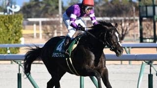 【毎日杯想定騎手】リラエンブレムは浜中俊騎手、キングノジョーは坂井瑠星騎手