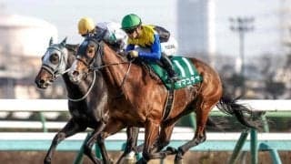 【AI予想・高松宮記念】前走6着以下でも実績次第では要注意!? 人工知能は前走の内容が光る3頭を高評価