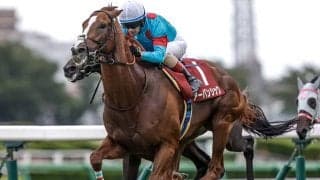 【日経賞想定騎手】アーバンシックはC.ルメール騎手、シュヴァリエローズは北村友一騎手