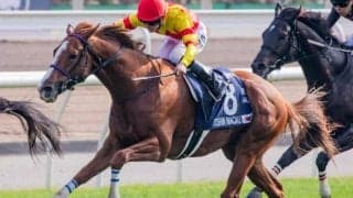 高松宮記念史上4組目の父仔Vへ 16年覇者の仔が豪華3頭出しで偉業達成狙う