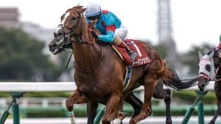 【日経賞展望】菊花賞馬アーバンシックが格の違いを見せる