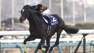 今年のPOGで注目すべき種牡馬は？ 繁殖牝馬の質が向上した3頭をピックアップ
