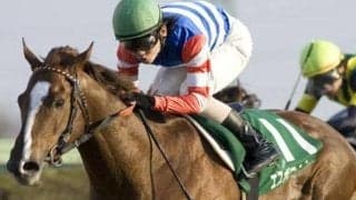 後にGI級9勝…ダート王者への足がかり エスポワールシチーの初重賞制覇