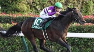 【高知・黒船賞注目馬】JRA重賞2勝馬が地方初参戦 大舞台に向けて見逃せぬ一戦