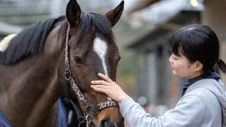 ヴェロックスが青山学院大に“入学”!? 19年クラシックにぎわせた実力派が馬術部の一員になったワケ