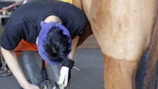 浦河町で「第31回装蹄競技大会」が開催 16名の腕自慢がしのぎ削る