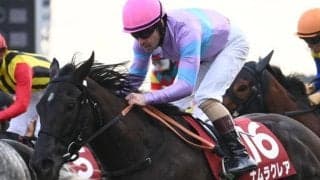 【高松宮記念予想オッズ】ナムラクレアが予想1番人気