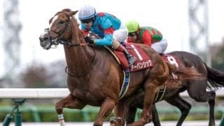 【日経賞予想オッズ】アーバンシックが予想1番人気