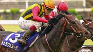 史上最高齢JRA平地GI制覇へ 10歳の古豪が高松宮記念で一発狙う