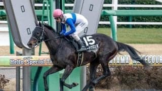 【マーチS予想オッズ】ロードクロンヌが予想1番人気