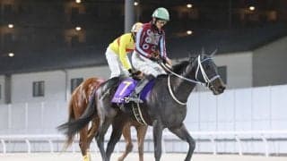 【京浜盃】ハッピーマンは7枠11番へ…羽田盃前哨戦