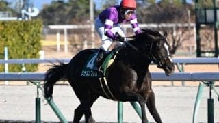 【毎日杯予想オッズ】リラエンブレムが予想1番人気