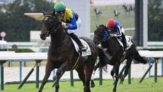 【毎日杯展望】ネブラディスクが共同通信杯組の好相性を証明する