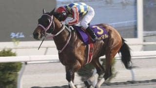 【黒船賞】シャマルが逃げ切って3連覇…エンペラーワケアは3着