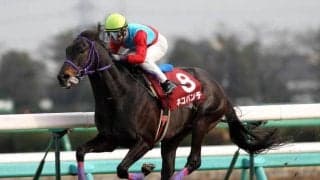 単勝167.1倍の大逃げV ネコパンチと江田照男騎手が魅せた波乱の日経賞