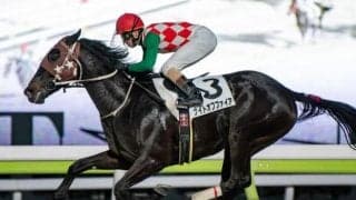 【大井・京浜盃注目馬】ダート三冠の前哨戦 地方馬も実力馬揃いで混戦模様