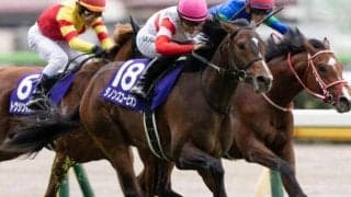 NHKマイルC覇者がマーチS参戦 初ダートで返り咲きなるか