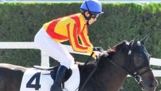 【毎日杯】クラシック出走には追加登録料200万円が必要 セルズパワーが意欲の参戦だ