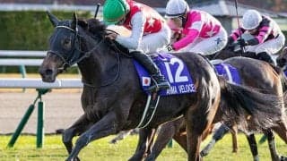 【桜花賞想定】アルマヴェローチェ、エンブロイダリーなど22頭