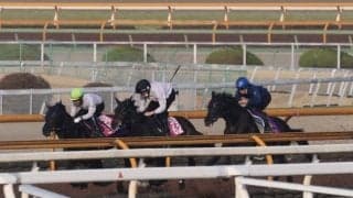 クロワデュノール、皐月賞追い切り速報/栗東トレセンニュース