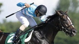 17年レパードS覇者のローズプリンスダム 引退馬協会のフォスターホースに