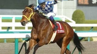 バルドウィナが引退馬協会のフォスターホースに ワンカラット、ジュエラーなどの母