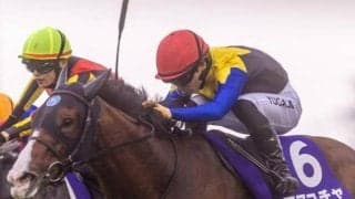 史上4頭目の偉業達成なるか  名牝ソダシの全妹が高松宮記念に挑む