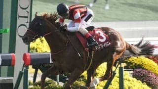 ウイン軍団が22年ぶりのJRA・GI制覇へ 8歳の古豪が高松宮記念で戴冠なるか