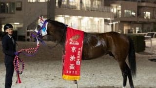 【京浜盃】京浜盃の売上11.9億円で前年比109.7%に増加！ 総売上は微減