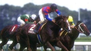 中距離時代の覇者にも名馬がズラリ 最後の「芝2000mの高松宮杯」から30年