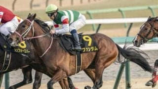 サートゥルナーリア産駒待望の重賞初Vなるか 無敗の素質馬が毎日杯に参戦
