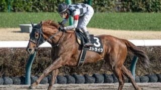 【マーチS展望】前走快勝のストライクが勢いそのまま重賞制覇へ