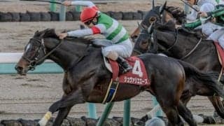 21世紀初の偉業達成へ GII連勝中のステイヤーが日経賞V狙う