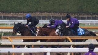 ヨーホーレイク、大阪杯1週前追い切り速報/栗東トレセンニュース