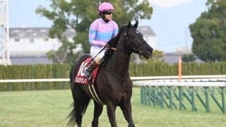 【高松宮記念出走馬・騎手確定】ナムラクレア＆C.ルメール騎手、サトノレーヴ＆J.モレイラ騎手など18頭