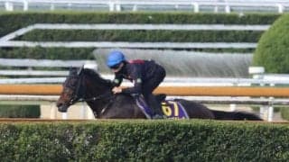 ロードデルレイなど、大阪杯1週前追い切り速報/栗東トレセンニュース
