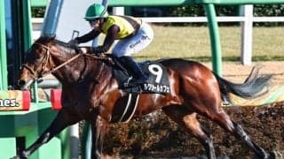 砂の大物候補が伏竜Sへ 大舞台に向けて破竹の4連勝なるか