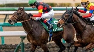 セレクト3.1億円馬が毎日杯に挑む 史上最高額のJRA重賞ウイナーとなるか
