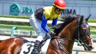 2.5億円馬が1年8カ月ぶりの復帰戦 長期ブランクを覆せるか