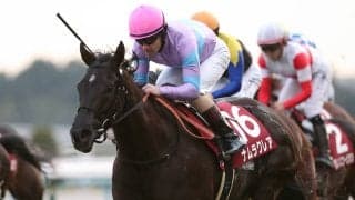 【競馬予想】高松宮記念、２年連続２着のナムラクレアは「今度こそ」戴冠を果たせるのか