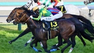【高松宮記念】サトノレーヴは前走からマイナス5kg…出走馬の調教後の馬体重
