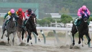 メイショウムラクモの競走馬登録抹消