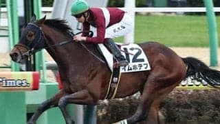 3歳ダート路線の主役候補に名乗り上げるか 無傷連勝中の素質馬が伏竜Sに参戦