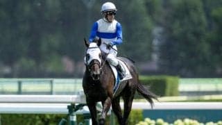 【マーチS枠順確定】ロードクロンヌは1枠1番、ハビレは4枠6番