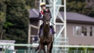 【高松宮記念枠順確定】ルガルは3枠6番、ナムラクレアは7枠14番