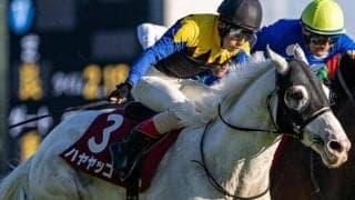 “白毛のアイドル”が日経賞参戦 9歳でレース史上最高齢Vなるか