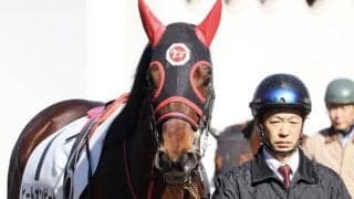 平地GII覇者が障害で無傷2連勝狙う 三木ホースランドJS参戦