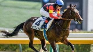 【毎日杯予想】急坂のある阪神は馬力が大事!? 前走の馬体重に顕著な傾向あり